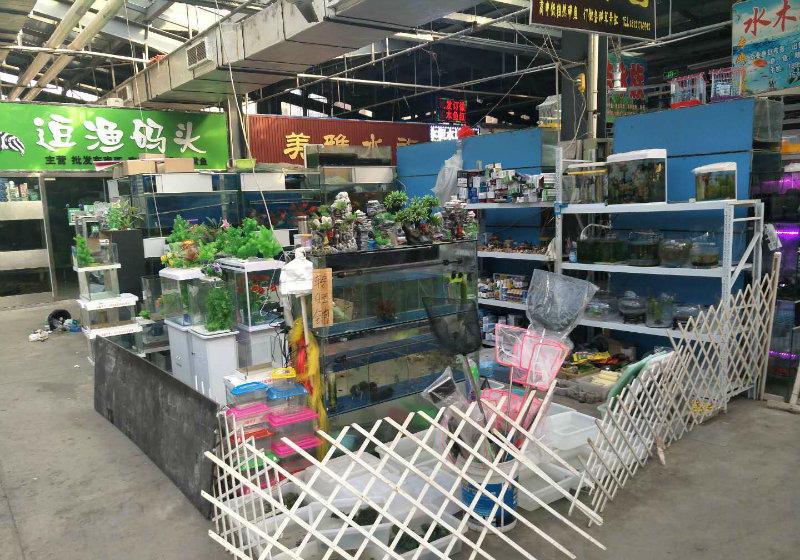(转让) 植物园内花卉奇石旺铺对外转让 蚂蚁金铺