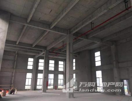 标准厂房出售 生产 研发 办公一体化 底层层高8.1米
