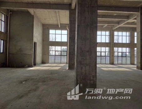 江北新区地铁S8线化工园地铁口厂房出售 首层8.1米框架结构 独栋 双拼