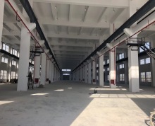 新区旺庄4600平标准机械厂房 黄金地段 独栋厂房 专业管理