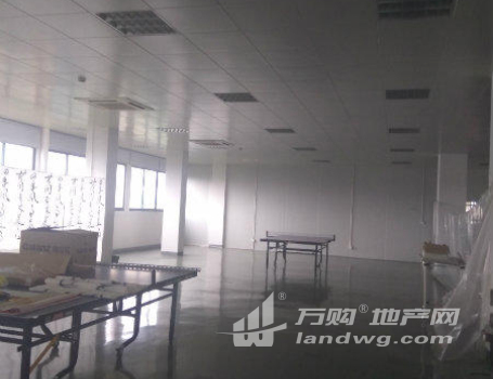 (出租)新区旺庄1600平研发中试厂房办公，一看就满意 