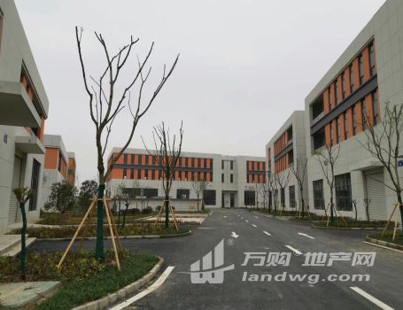 租售南京园区标准全新厂房，层高8米50年独立产权