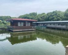 (转让)石塘湾农家乐转让村集土租赁合同营业执照所有一切转让