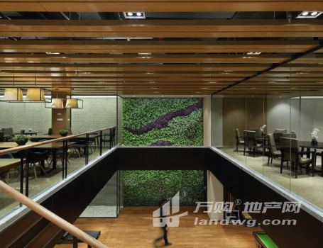 江宁大学城 50年产权 独栋办公楼 可按揭 独立花园 附赠电梯地下车库