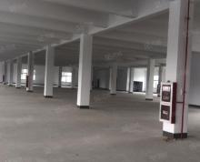 (出租)龙虎塘工业区4800平米标准厂房仓库出租可以分租