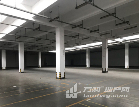 新区5000平米至1万平米以上标准厂房仓库出租