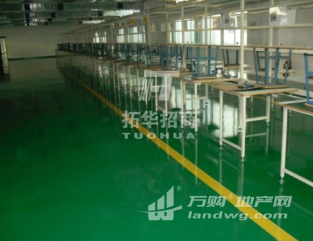 九龙湖 独栋厂房25000平方米多层厂房高度7米