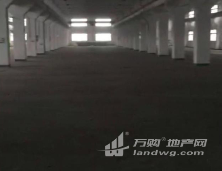 CZ扬名 杨高路2号 仓库 厂房1000平米 
