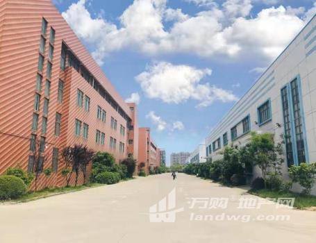 滨江开发区标准厂房出租，32000平米产业园，单层厂房及多层厂房均有出租，可划分独门独院！