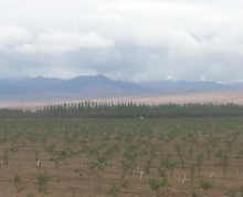 甘孜藏族自治州丹巴县柯鲁柯1200亩设施农用地
