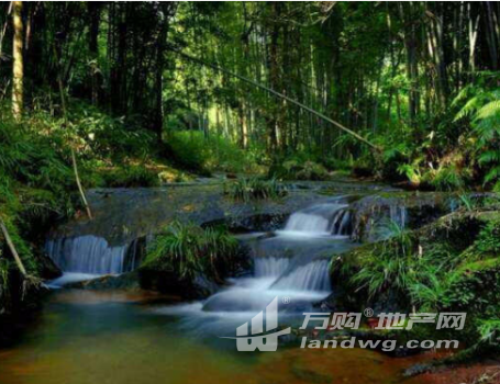 郴州市瑶族乡3000亩生态桃园