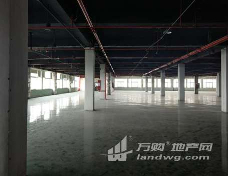 九龙湖 厂房仓库出租 适合各种业态 环氧地坪有喷淋