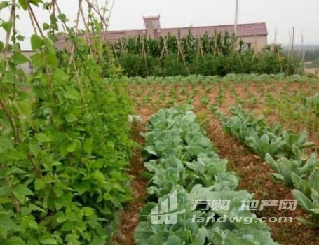 安徽宣城广德县邱村镇116亩养殖场