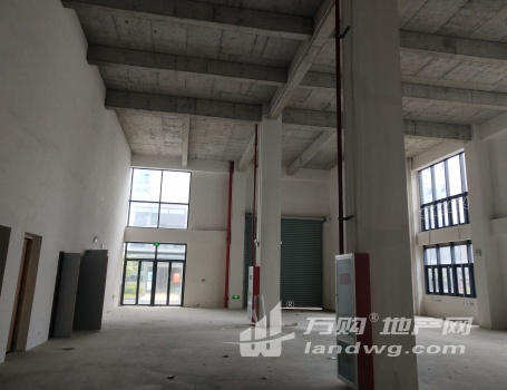 上海边 稀缺 大厂房 开发商直售