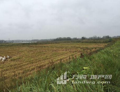 安徽安庆望江县22800亩农地（设施农用地 、水田 、旱地都有）