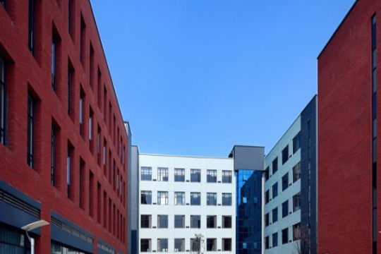 国土两证出售分层,独栋厂房 国土两证出售分层,独栋厂房