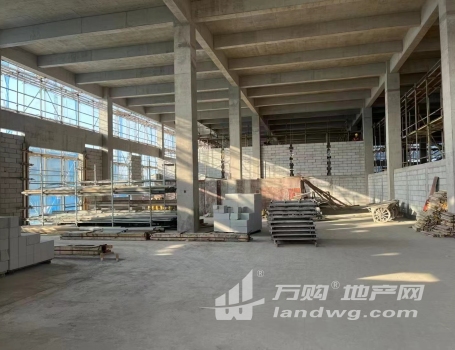 郑陆 三河口1200平 8.1米层高 三层独栋 国土厂房出售