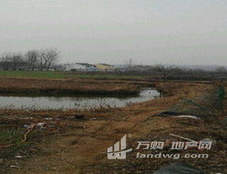 南京市六合区100亩水浇地