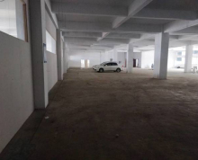 新区旺庄1400平米标准厂房仓库出租
