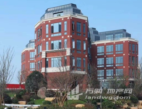 江宁生命科技小镇850平独栋别墅式办公楼附赠地下2层和600平独立花园