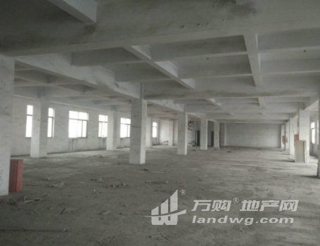 青阳镇工业园2至5层一次1500平方，层高4米 