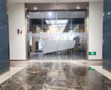(出租)秦淮 新街口 双地铁 国际金融 对电梯 850 家具 豪装