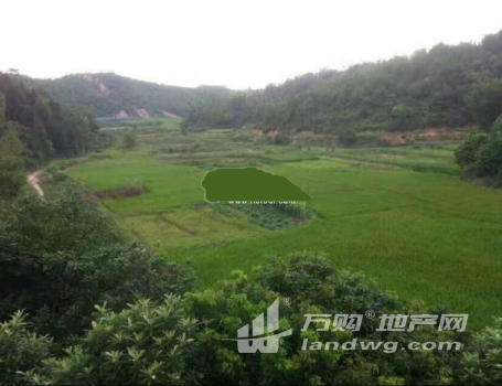  肇庆市封开县200亩生态综合农场