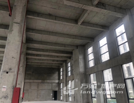 首层9米滁州汊河稀缺双层厂房出售