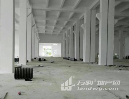 新区旺庄独门独院单层4000平方标准厂房出租可分租