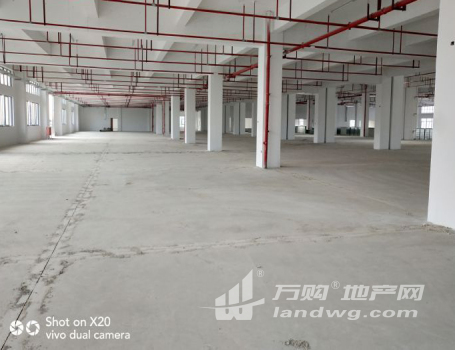 CZ梅村标准厂房10000平带行车高12米可分租
