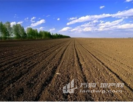 吉林省松原市9450亩耕地 