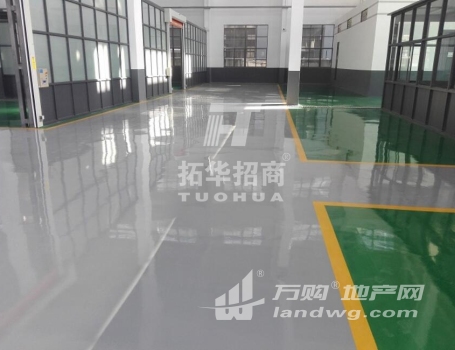 九龙湖 独栋厂房25000平方米多层厂房高度7米