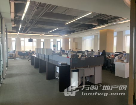 [S_2365444]江宁核心区1341平精装独栋企业办公出售