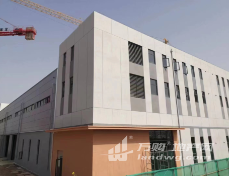 开发商直售全新单一层钢结构厂房11.1米 