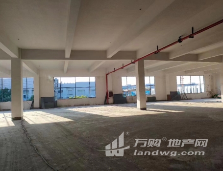 南京综合保税区内 高端写字楼出租 面积可分割精装修 免费停车