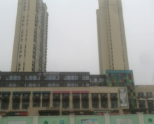 [S_1308939]南京市江宁高新园1万㎡住宅配套商业体转让