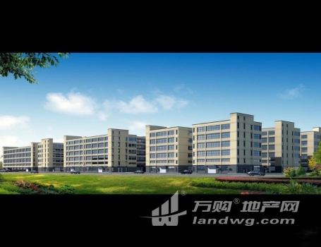 出售 江苏标龙独栋厂房 50年产权 国有土地 可定制 可分期