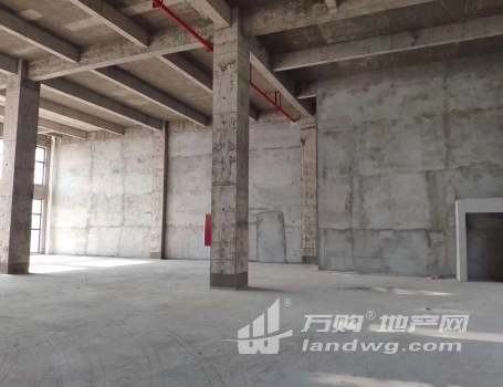 出售 南京 江北 全新厂房 首层8.1米 