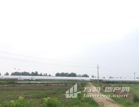 合肥长丰县双墩镇101亩设施农用地（含鱼塘）