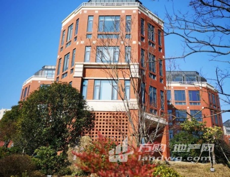 出售独栋江宁大学城写字楼 1160平适合生物医药 总部 会所 科研基地