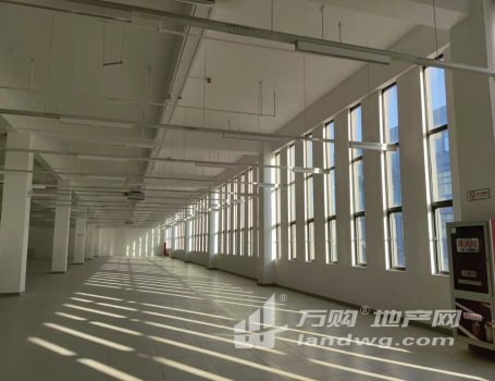直招 免佣 江宁殷巷 整层4500平层高5.3米 超大货梯 办公仓储电子产品生产均可