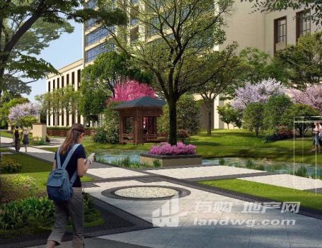中国智谷294大独栋189大花园赠送房屋出售一手房，非中介