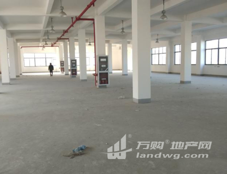 新区旺庄双层2100平米厂房、仓库招租