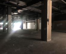(出租)深港亚太中心 1255平 沿街商铺 家具展厅 服装集合店