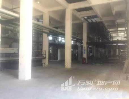 江阴申港独门独院25亩化工厂出售水滑石及催化剂载体 