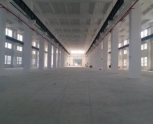 新区单门独院1万5千平方高12米带行车厂房分组2千