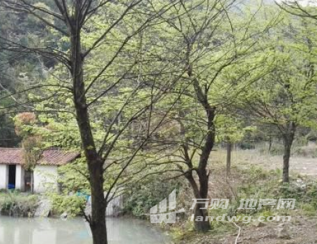 衢州市常山县1000亩林地、农庄（含水库）