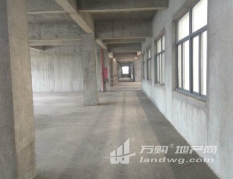 (出租)江阴申港24000平新建机械厂房，炒鸡大，实用美观 