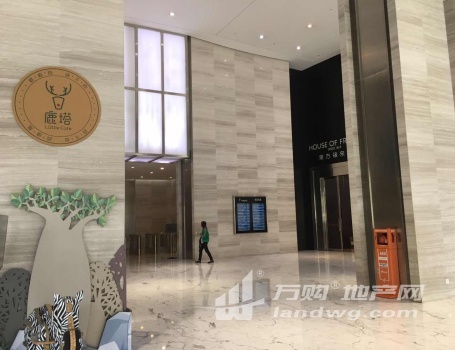 招商中心！新街口商圈 南京国际金融中心 电梯口 落地窗 交通便利