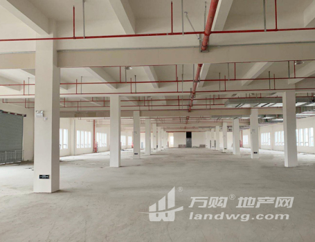 张浦丙二类高标准现厂房出租 25000平米